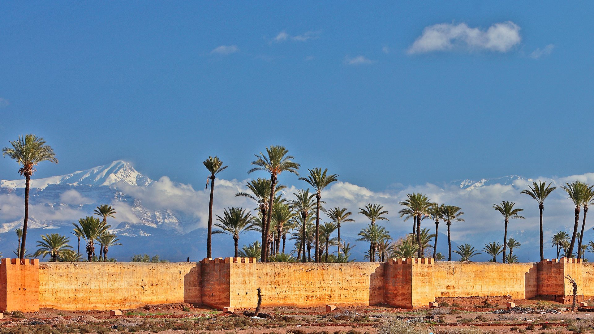 les remparts de marrakech sur un fond de ciel bleu avec des palmiers et les montagnes du haut atlas enneiges